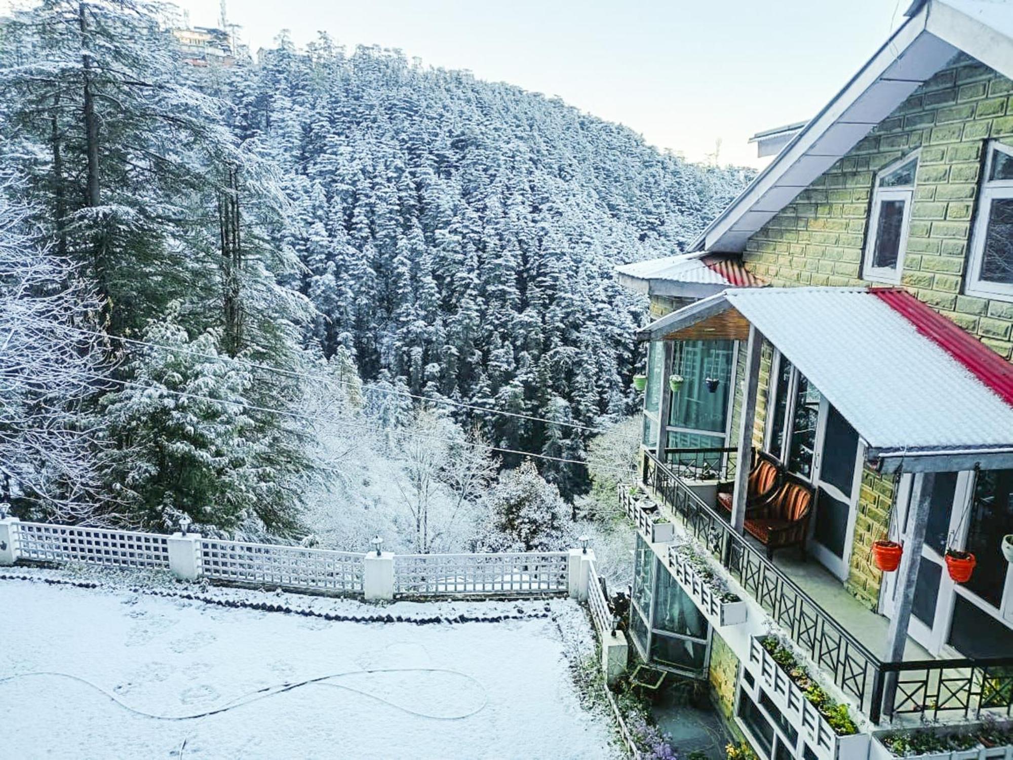 Whispering Pines Villa Shimla Eksteriør billede