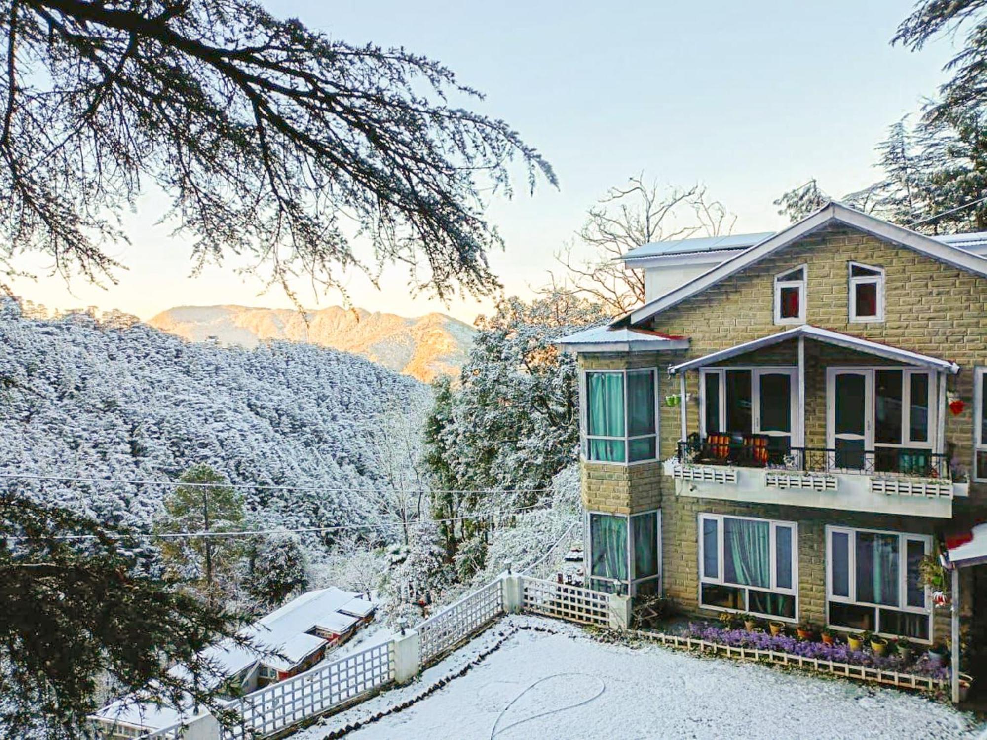 Whispering Pines Villa Shimla Eksteriør billede